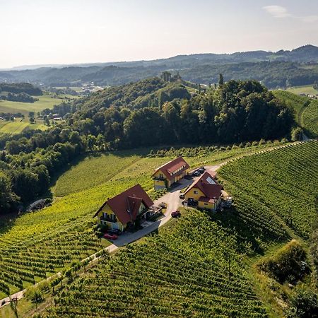 Weingut-Gaestehaus Birnstingl 게믈리츠 외부 사진