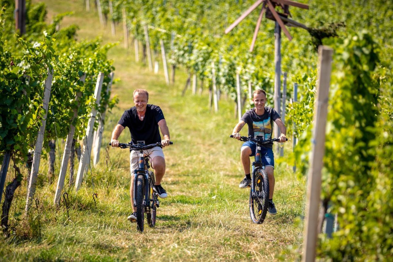 Weingut-Gaestehaus Birnstingl 게믈리츠 외부 사진
