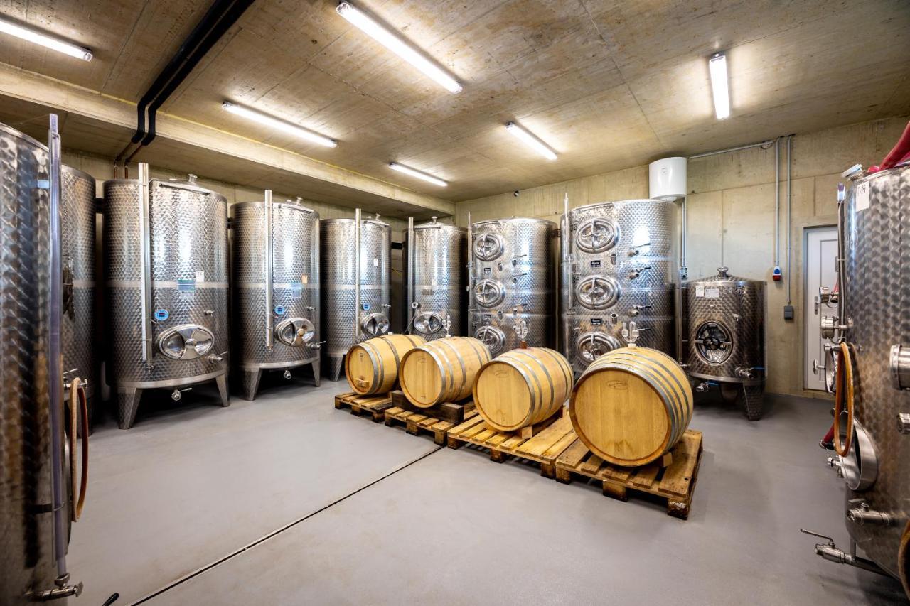 Weingut-Gaestehaus Birnstingl 게믈리츠 외부 사진