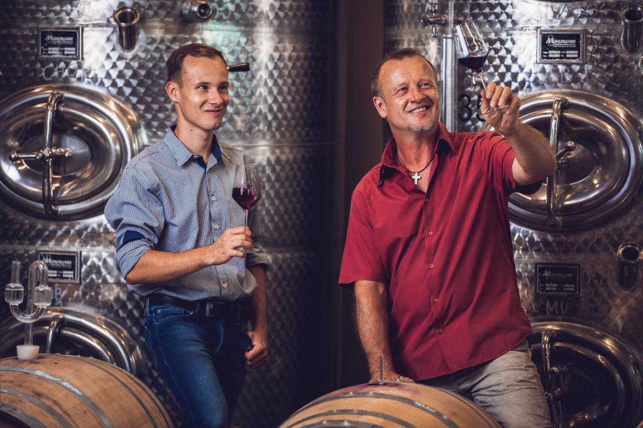 Weingut-Gaestehaus Birnstingl 게믈리츠 외부 사진