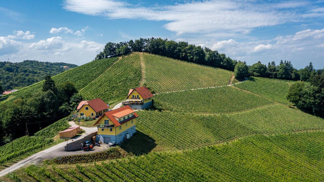 Weingut-Gaestehaus Birnstingl 게믈리츠 외부 사진