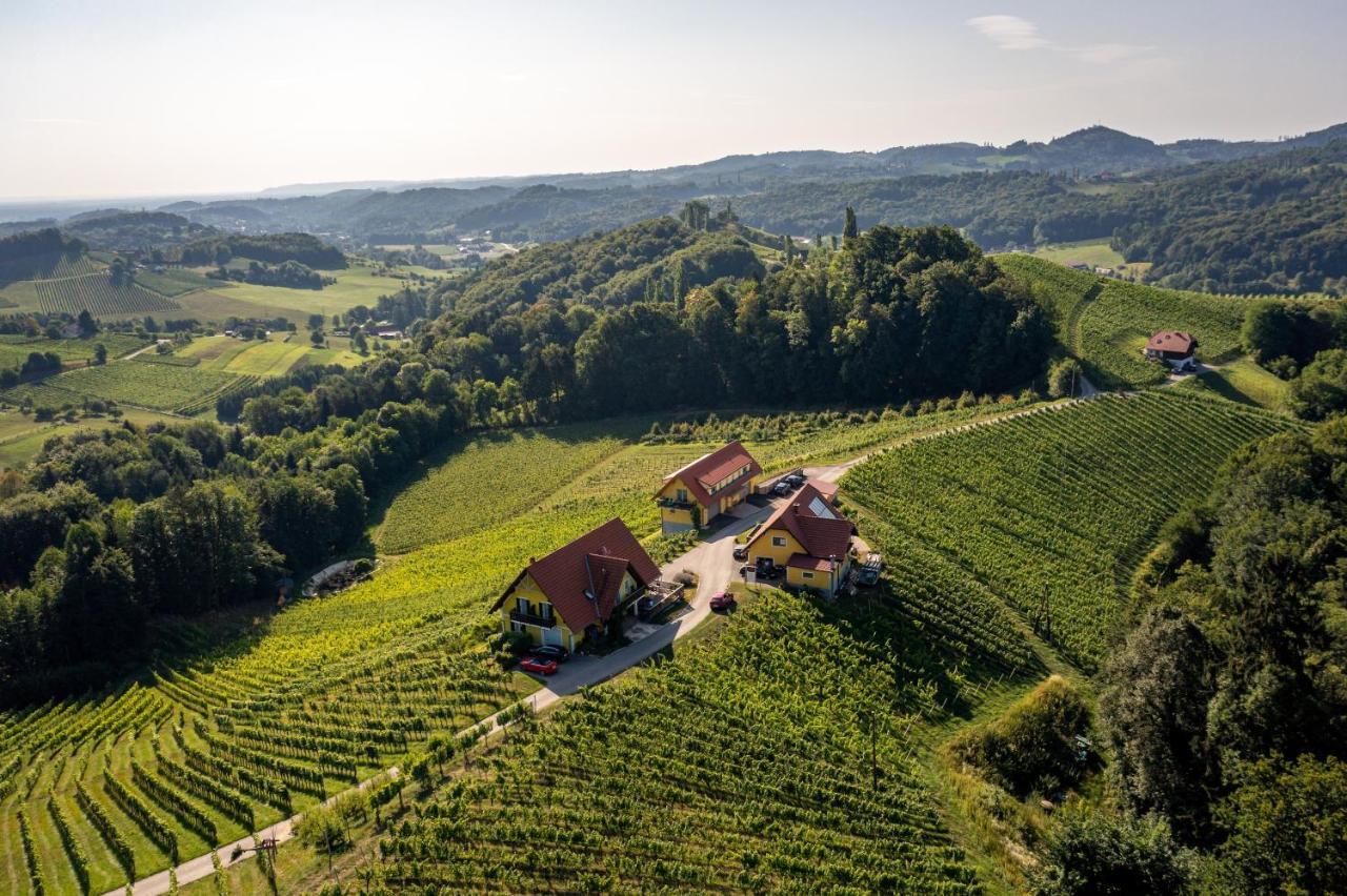 Weingut-Gaestehaus Birnstingl 게믈리츠 외부 사진