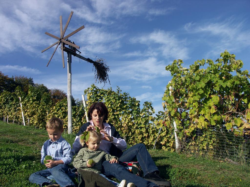 Weingut-Gaestehaus Birnstingl 게믈리츠 외부 사진